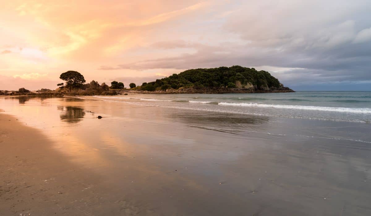 Top Glamping Bay of Plenty Sites for a New Zealand Getaway