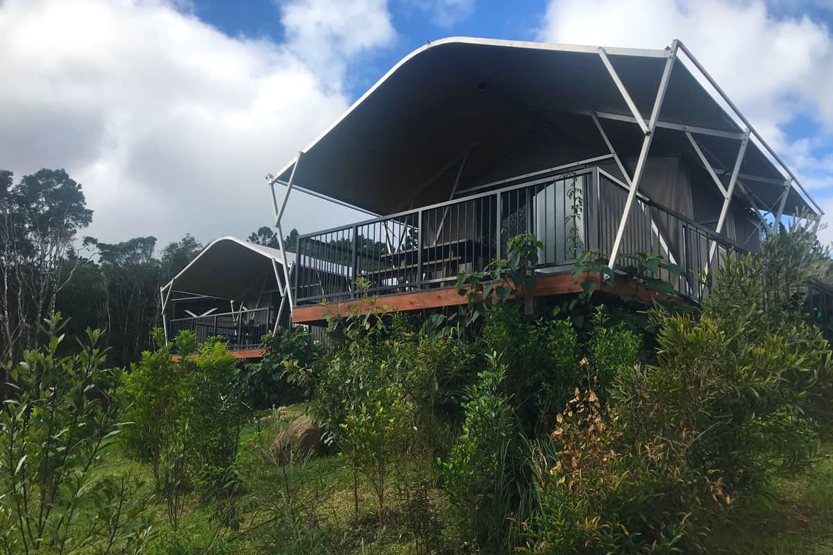 Glamping at O’Reilly’s Rainforest Retreat QLD Australia